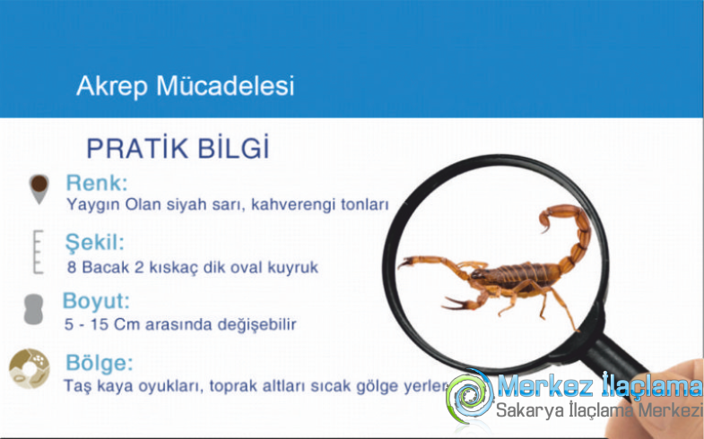 Sakarya Akrep İlaçlama