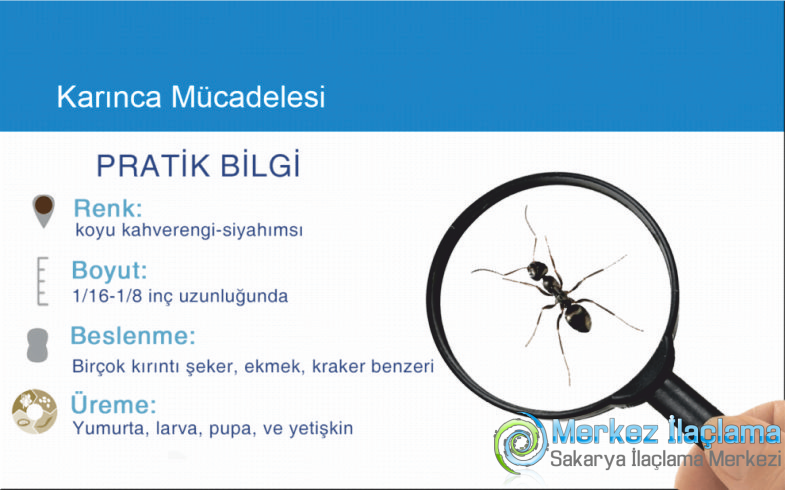Sakarya Karınca İlaçlama