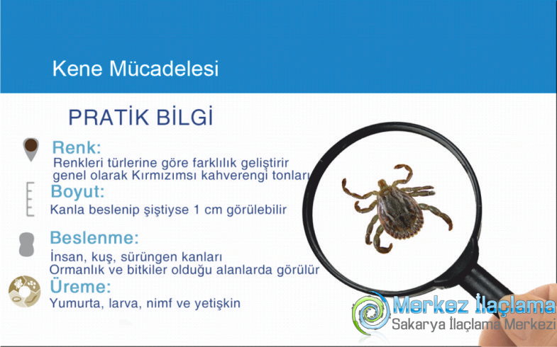 Sakarya Kene İlaçlama